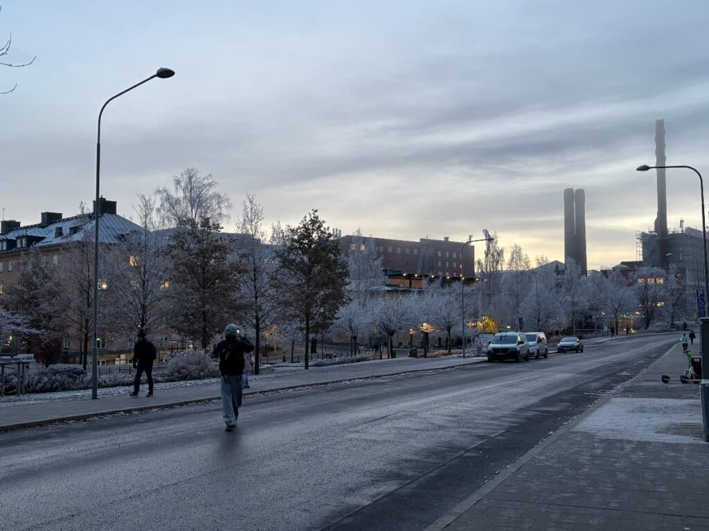 スウェーデンの冬の景色